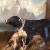CHIEN