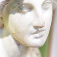 Bust of Minerva, marble, early nineteenth