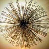 Urchins