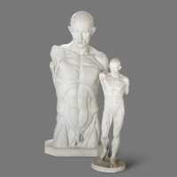Two plaster skinned after Houdon