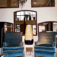 Pair of velvet armchairs
