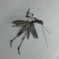 Jizaimono Praying mantis articulated in solid silver - Japan