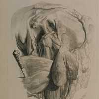 Bidloo surgical anatomy