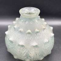 Fern vase