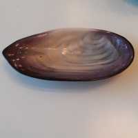 shell cut Pol Chambost