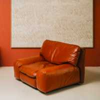 Armchair by Cini Boeri
