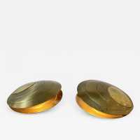 Pair of brass shell lamps by Angelo Brotto. Italy 1970 chandelier sconces Reggiani, Sciolari, Francesco Buzzi Ceriani, Stilnovo, Aldo Carlo Nason for Mazzega, Venini, Vistosi, La Murrina, Toni Zuccheri, Fontana Arte, Artemide, Arteluce, Arredoluce, Luigi Caccia Dominioni.