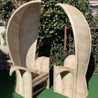 Rattan, palm