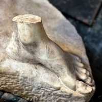 lower part of an 18th century statue in Carrara marble