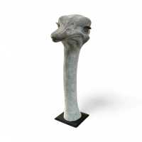 Ostrich bust