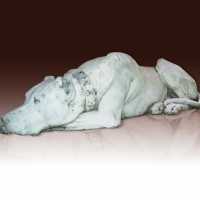 Chien en marbre XIXème siècle de Gardet