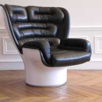 Fauteuil Elda, Joe Colombo