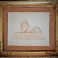 Aquarelle du Criosphinx, XIXème siècle