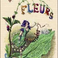 Fleurs animées de Grandville/Animated flowers