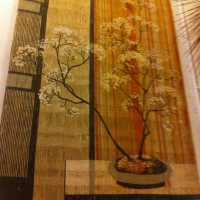 Tapisserie bushong
