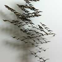 Curtis jere « oiseaux en vol » « birds in flight » 