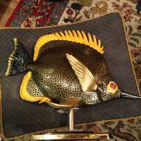 Poisson en porcelaine circa 1950