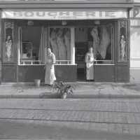 Boucherie parisienne, Louis Stettner, Paris, ca 1950