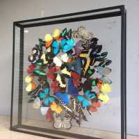 Envolée multicolore de papillons, 2015