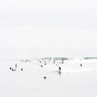 A selection of photographs from the "Surf" collection by Raphaël Dautig
On silvered photographic paper, with an oak frame,
XXIth century