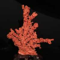 Corail travail Chine