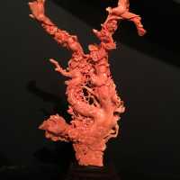 Corail Chine