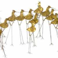 Curtis jere oiseaux « sandpipers » 1969