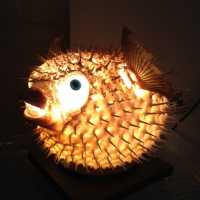 Diodon dit poisson lune naturalisé et monté en lampe, 1980