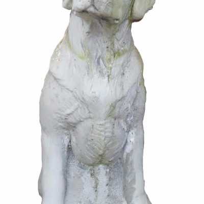 Labrador in painted stone, signed DW