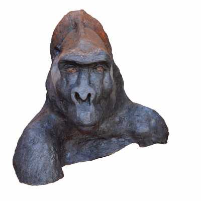Preparatory study showing a gorilla head of paper mache. The 1940's