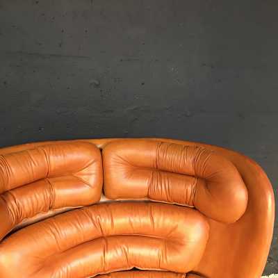 Fauteuil Elda de Joe Colombo