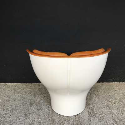 Fauteuil Elda de Joe Colombo
