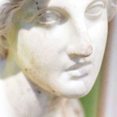 Bust of Minerva, marble, early nineteenth