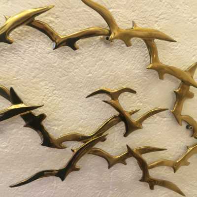 Birds in flight from Bijan