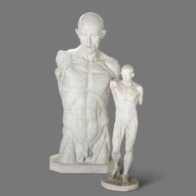 Two plaster skinned after Houdon