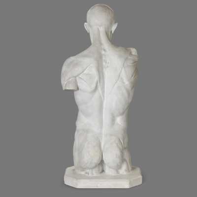 Two plaster skinned after Houdon