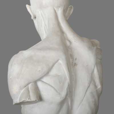 Two plaster skinned after Houdon