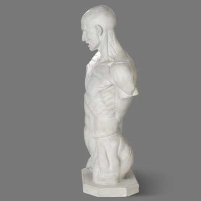 Two plaster skinned after Houdon