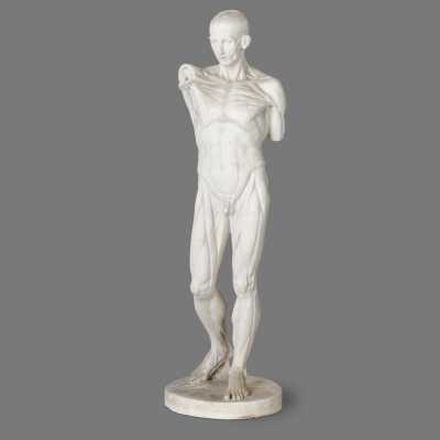 Two plaster skinned after Houdon