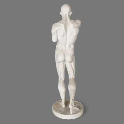 Two plaster skinned after Houdon