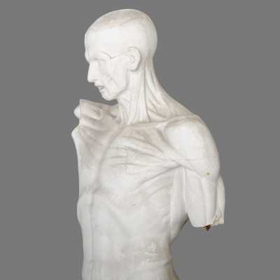 Two plaster skinned after Houdon