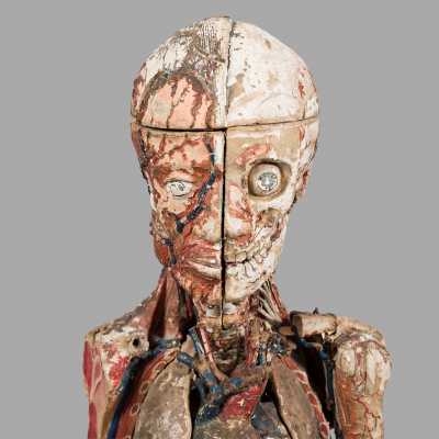 Small anatomical model of Dr. Auzoux