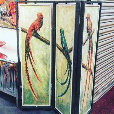 bird screen