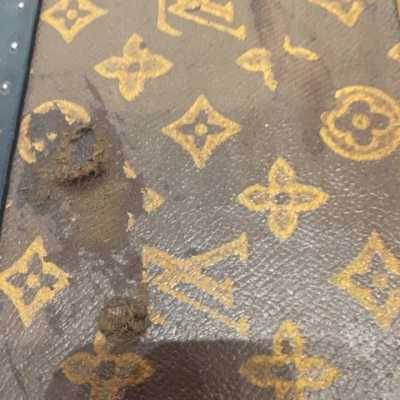 Louis Vuitton trunk Malle