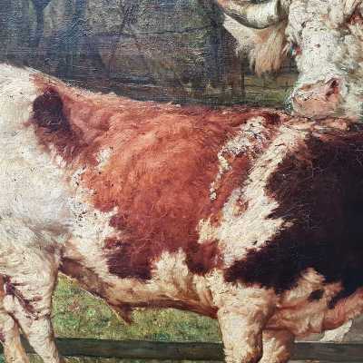 Oil on canvas Cows 19th century