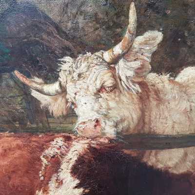 Oil on canvas Cows 19th century