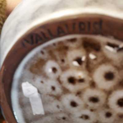 Serafino Ferraro Vallauris