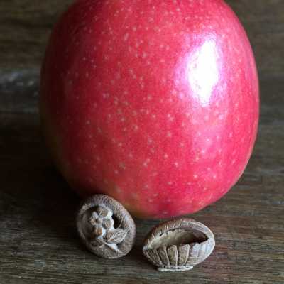 Lovely carved "Affiquet" in the shape of a basket in a carved core, very nice details, a real miniature. Knitting tool usually placed at the top of the needle, French Folk Art XIXth
