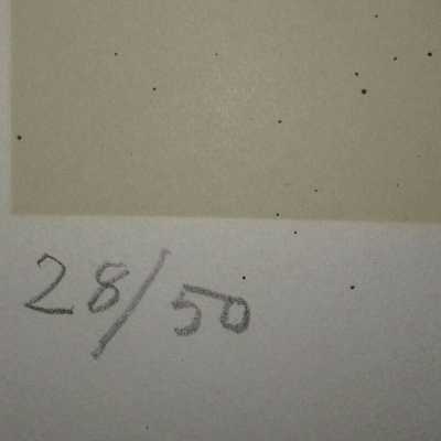 Alberto Magnelli numbering
