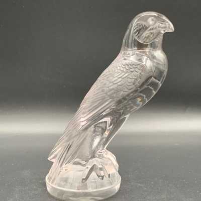 Profile view